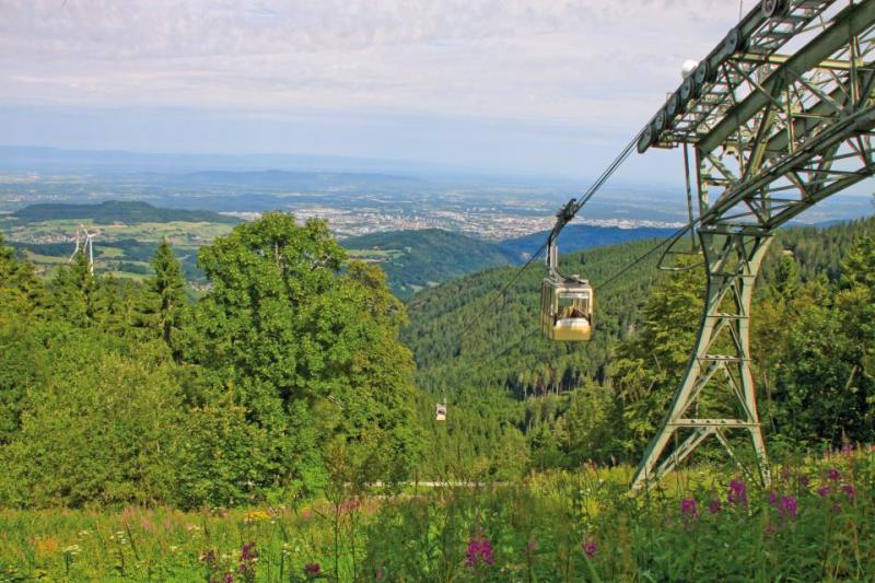 Bild Nr. 3