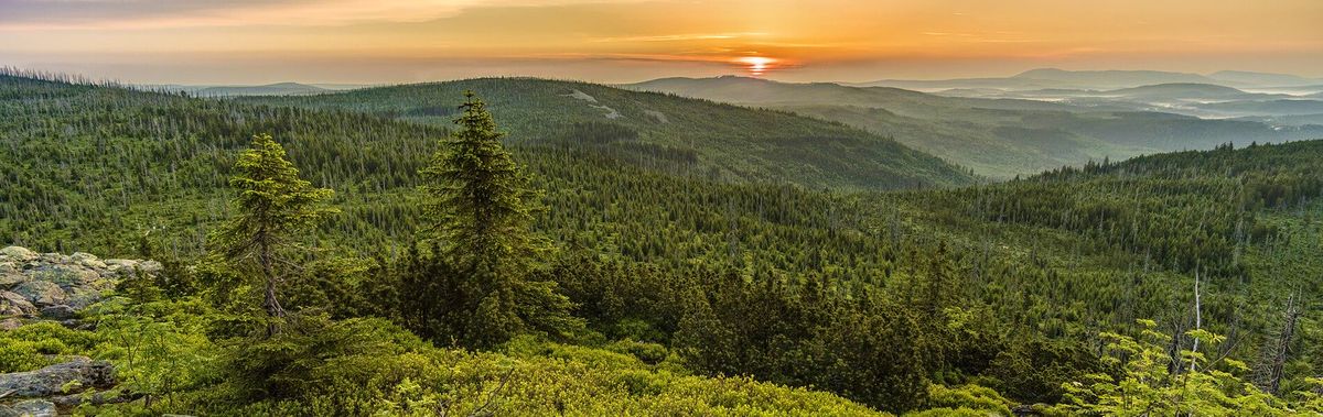 wandern im bayerischen Wald: Blick vom Lusen