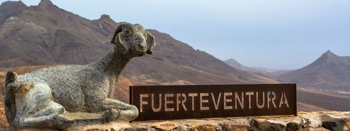 Berge Fuerteventura, im Vordergrund Ziege aus Stein und Fuerteventura-Schild