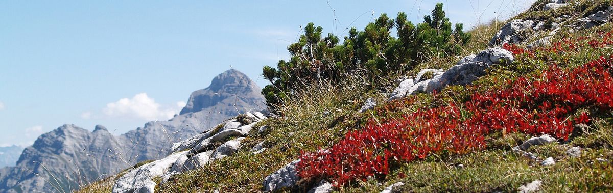 Wandern im Stubaital