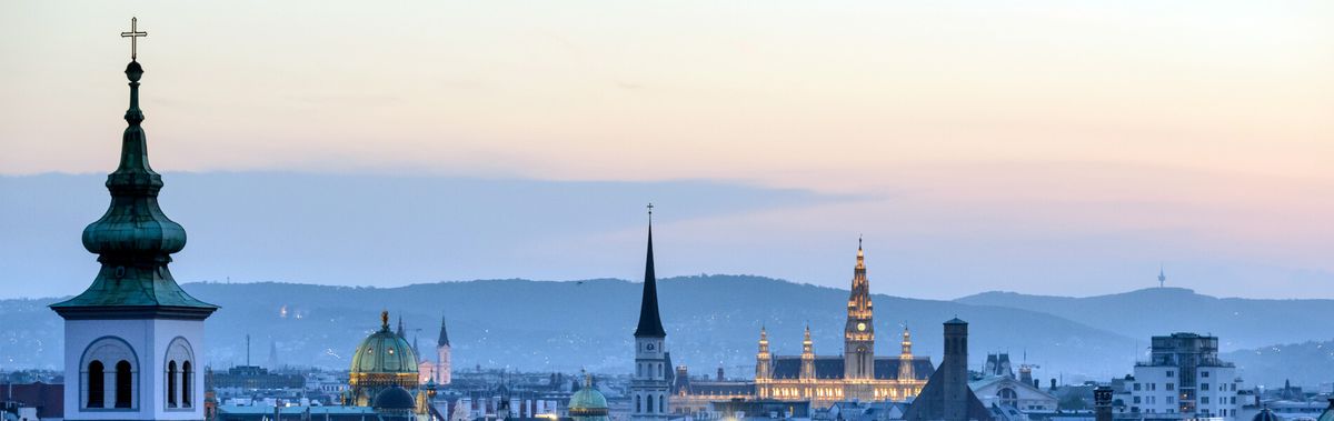 Blick auf Wien mit Bergen im Hintergrund
